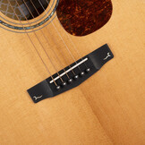 Cort Gold OC8 semi acoustic guitar with gig bag