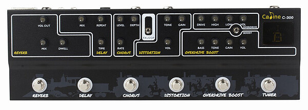 Caline C300 Multi Effect