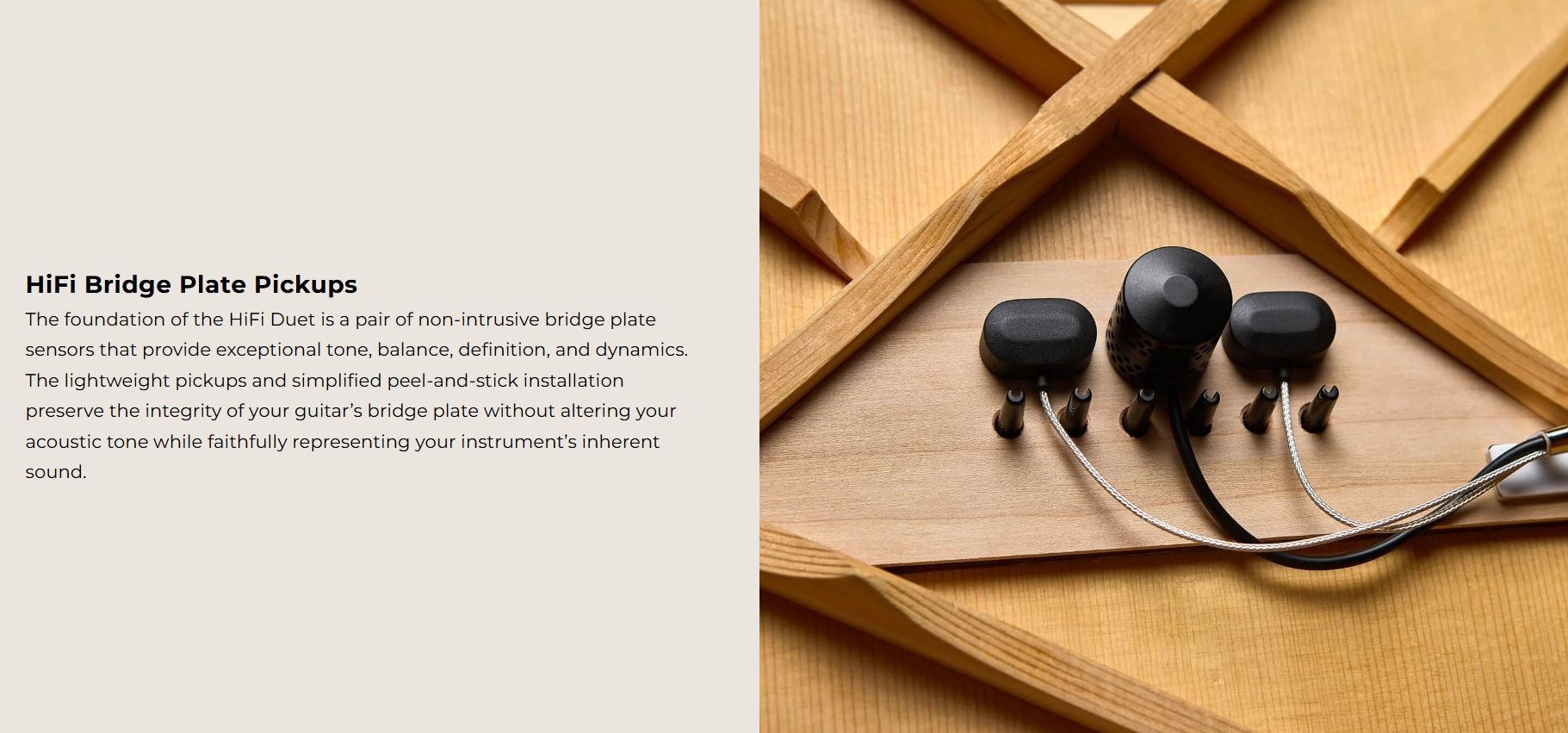 LR Baggs HiFi Duet Pickup System