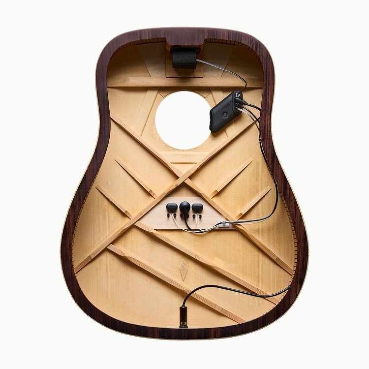 LR Baggs HiFi Duet Pickup System