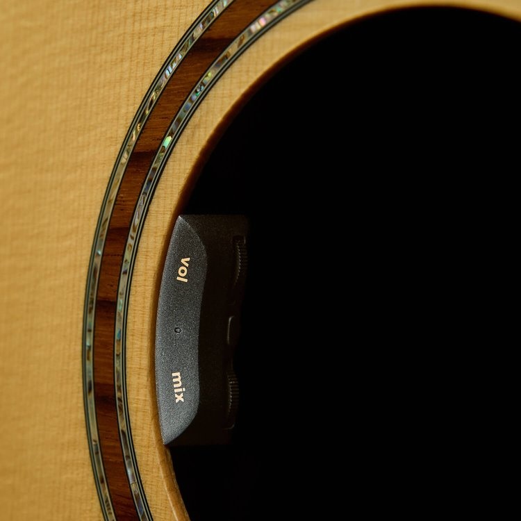 LR Baggs HiFi Duet Pickup System