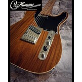 Vox Humana TE-Thinline Custom Guitar Rosewood Neck & Top