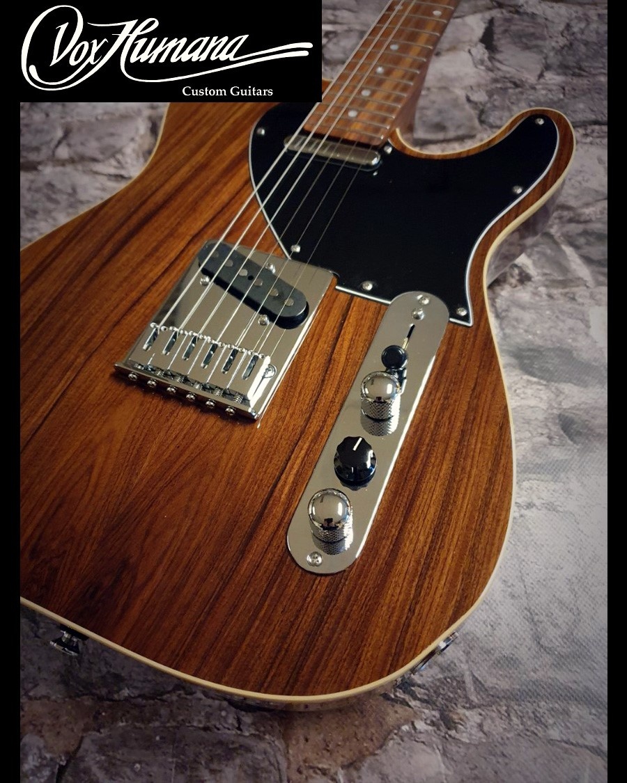 Vox Humana TE-Thinline Custom Guitar Rosewood Neck & Top