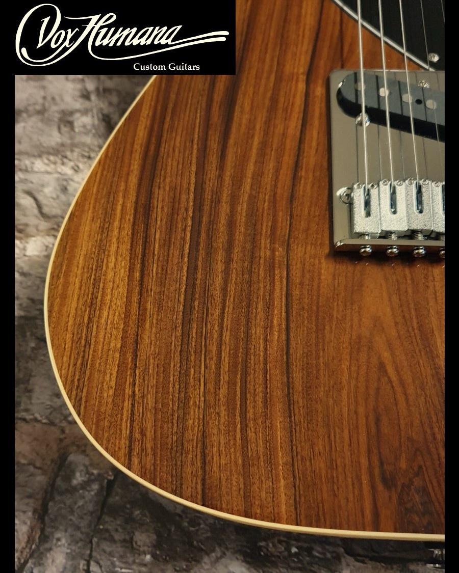 Vox Humana TE-Thinline Custom Guitar Rosewood Neck & Top