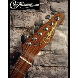 Vox Humana TE-Thinline Custom Guitar Rosewood Neck & Top