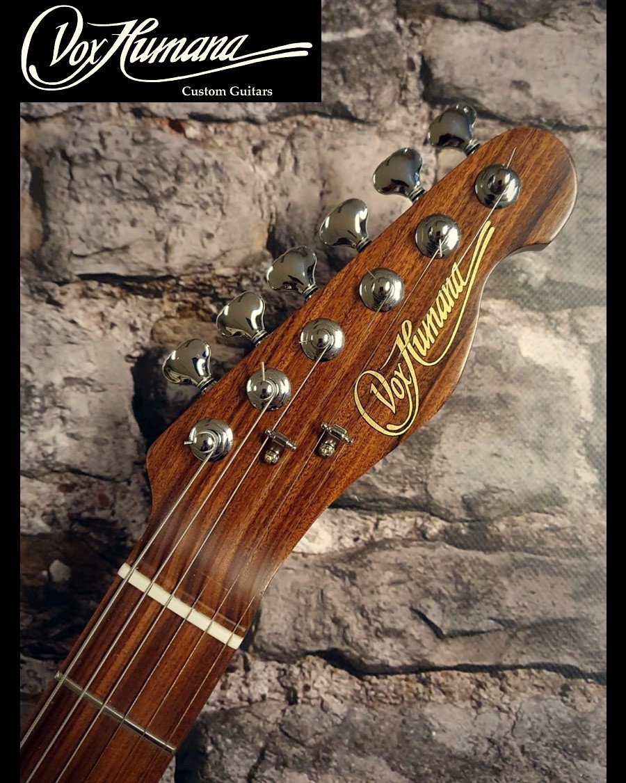 Vox Humana TE-Thinline Custom Guitar Rosewood Neck & Top