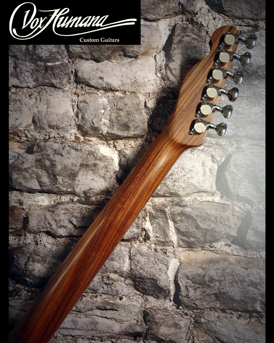 Vox Humana TE-Thinline Custom Guitar Rosewood Neck & Top