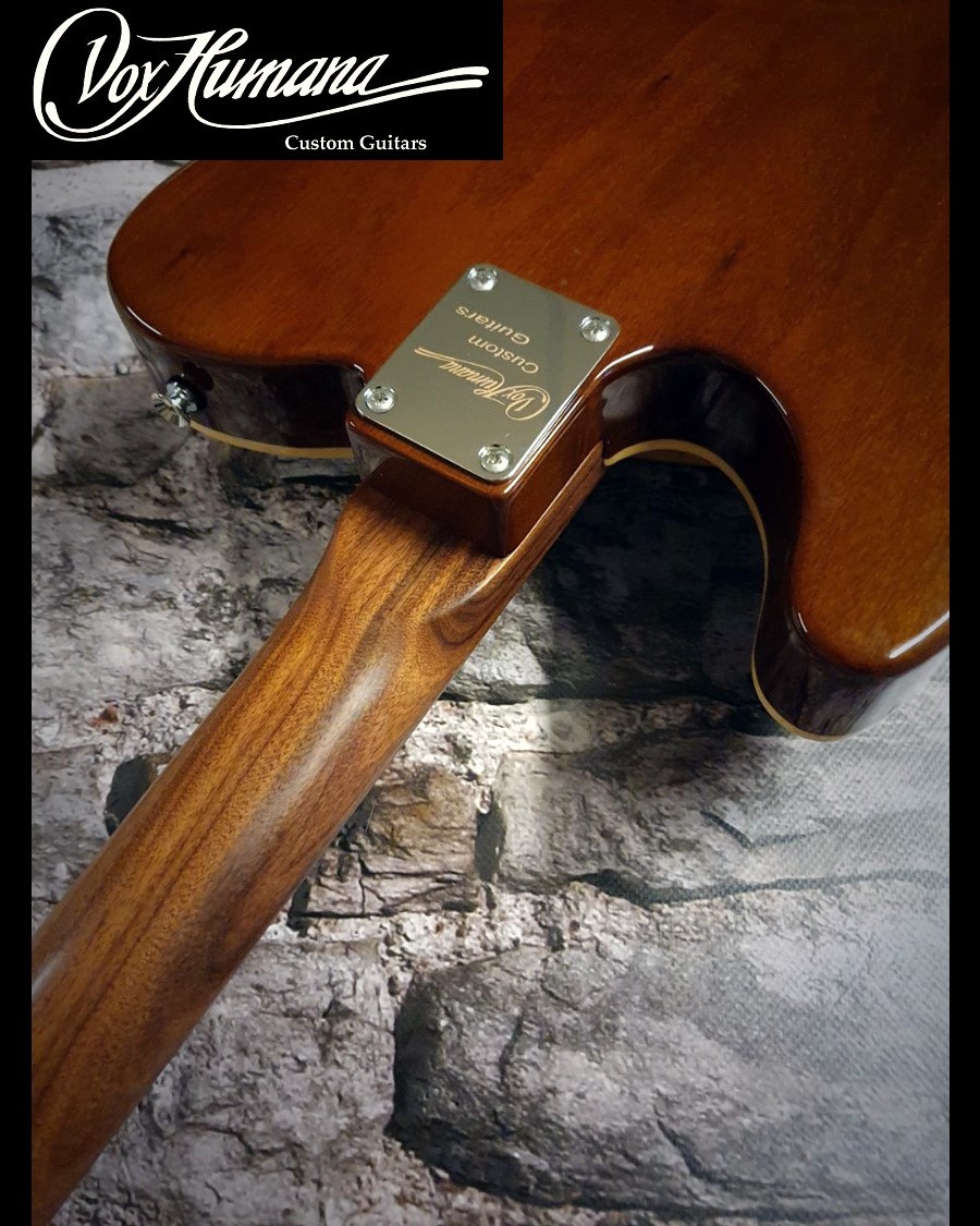 Vox Humana TE-Thinline Custom Guitar Rosewood Neck & Top