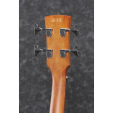 Ibanez PCBE12-MHOPN Semi Akoestische basgitaar