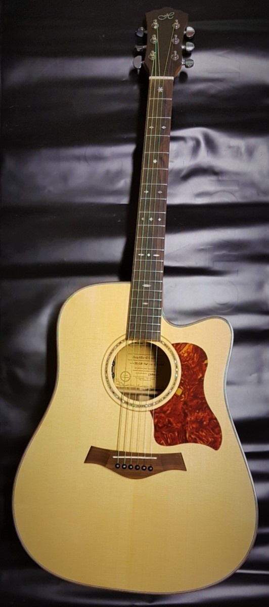 Heartford Vox Humana Designed D21CE-SW Electro Acoustic Guitar met oplaadbaar Mi-Si Pickup