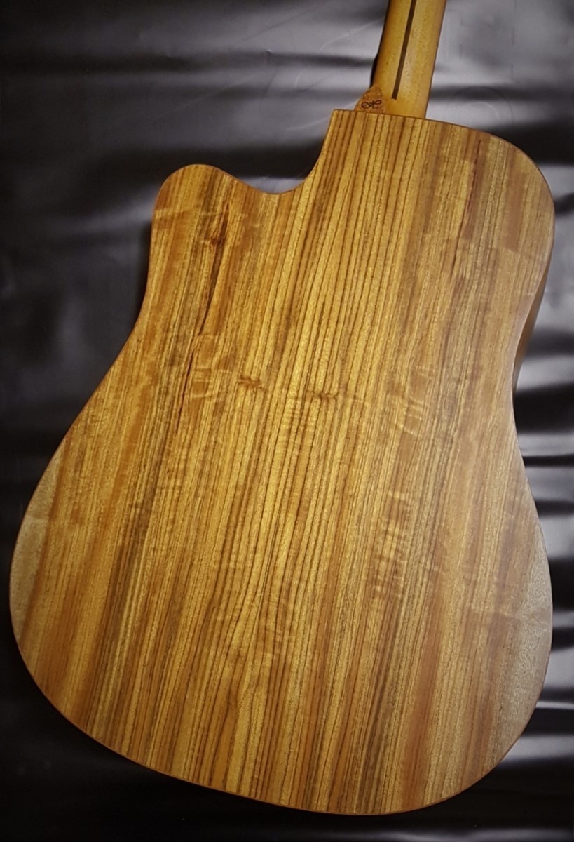 Heartford Vox Humana Designed D21CE-SW Electro Acoustic Guitar met oplaadbaar Mi-Si Pickup