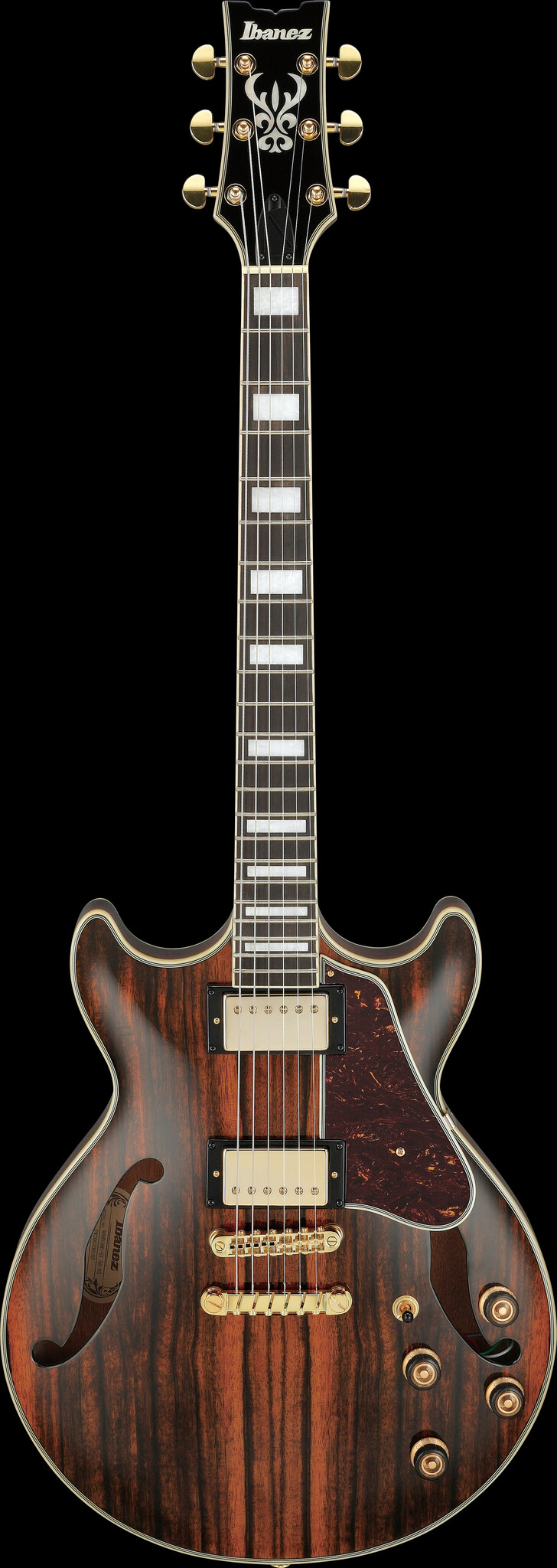 Ibanez AM93MENT Hollow Body Guitar