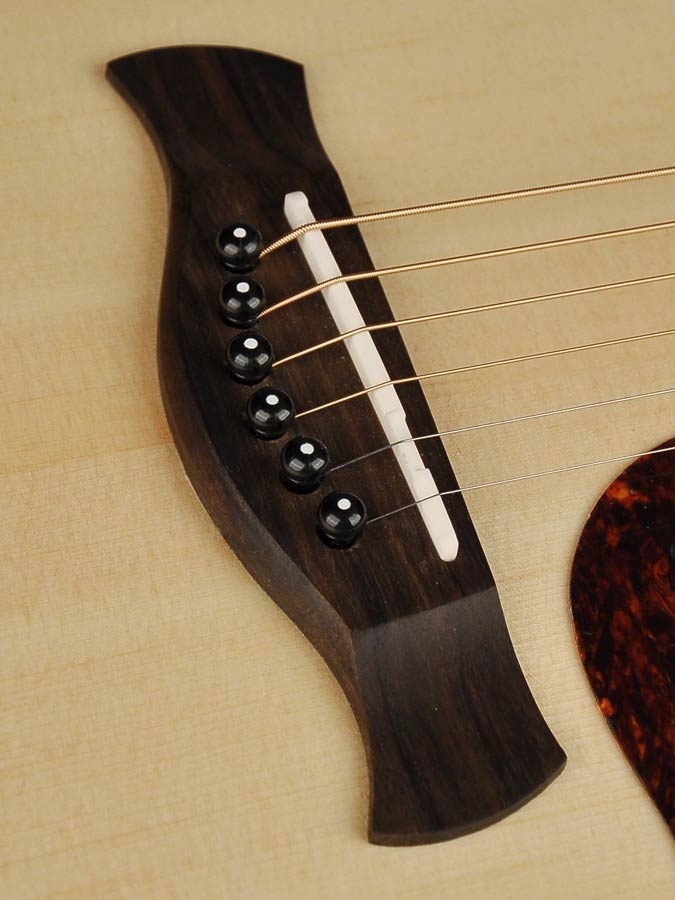 Richwood Master Series G22CE Semi Acoustic guitar