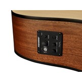 Richwood Master Series G-22-CE Semi Acoustic guitar