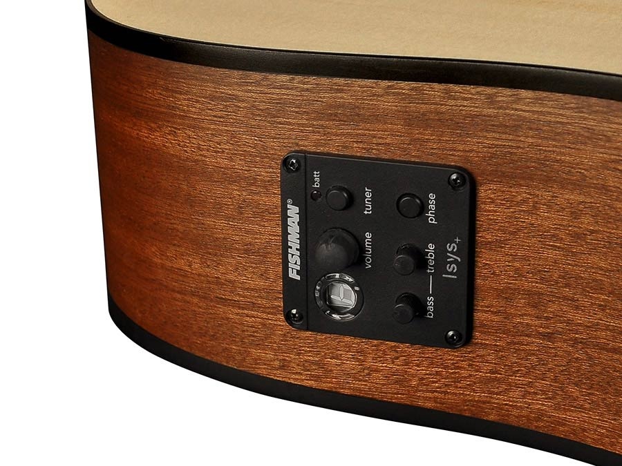 Richwood Master Series G-22-CE Semi Acoustic guitar