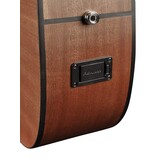 Richwood Master Series G-22-CE Semi Acoustic guitar