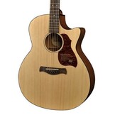Richwood Master Series G-22-CE Semi Acoustic guitar