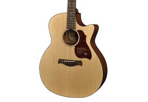Richwood Master Series G-22-CE Semi Acoustic guitar