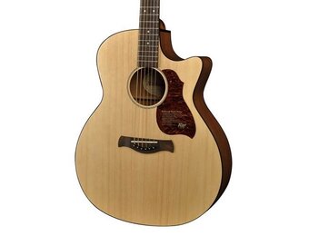 Richwood Master Series G22CE Semi Acoustic guitar