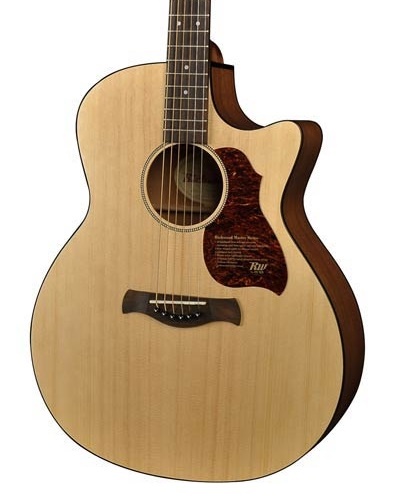 Richwood Master Series G22CE Semi Acoustic guitar