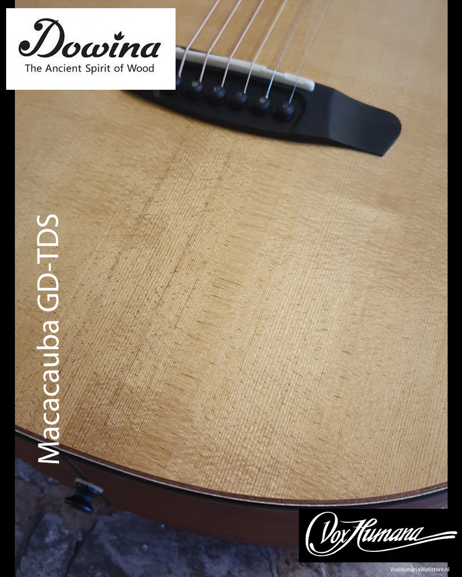 Dowina Acoustic Guitar Macacauba GD TDS (OM size)