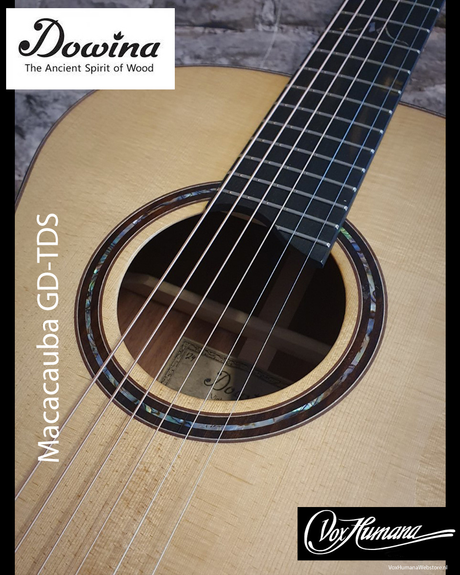 Dowina Acoustic Guitar Macacauba GD TDS (OM size)