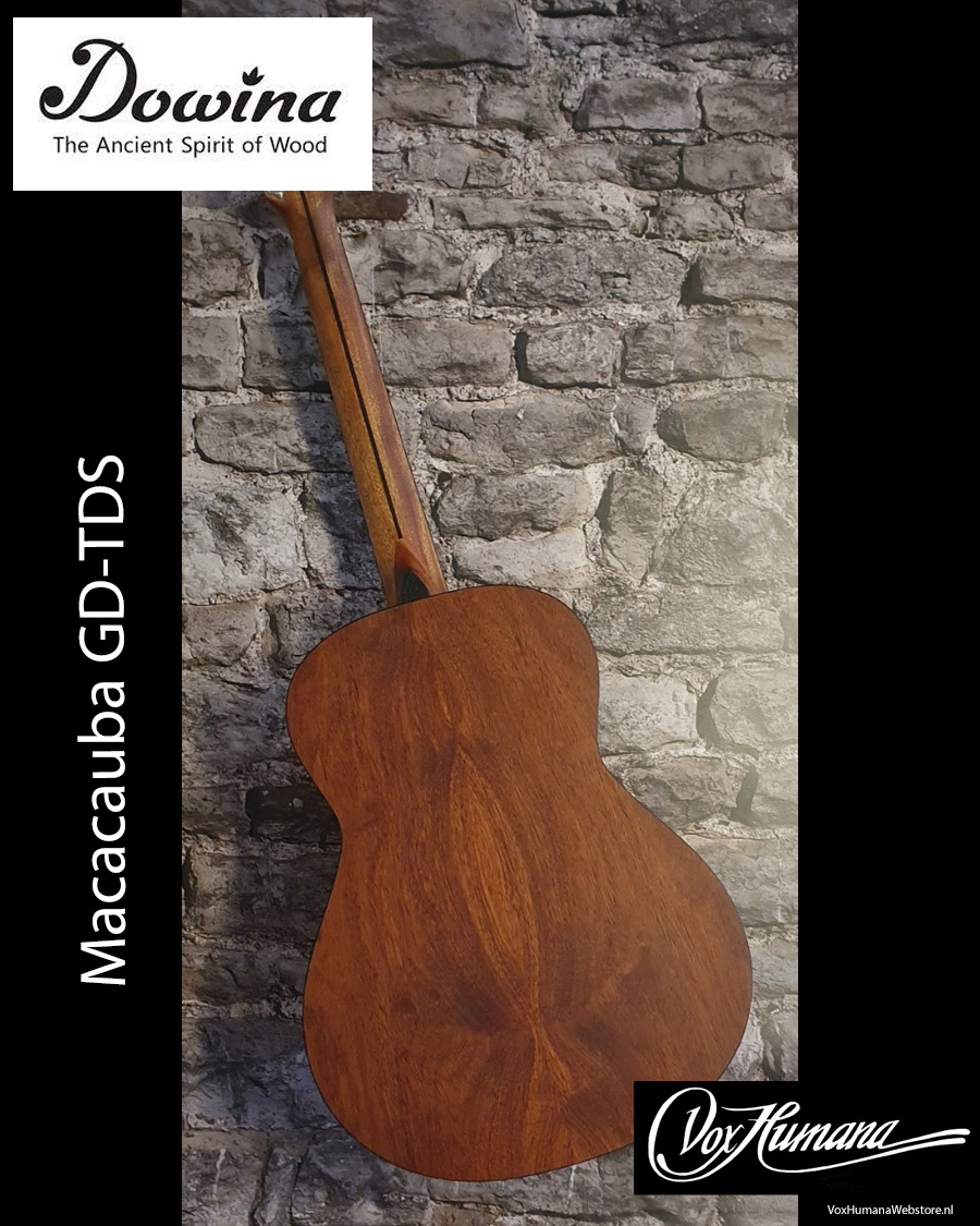 Dowina Acoustic Guitar Macacauba GD TDS (OM size)