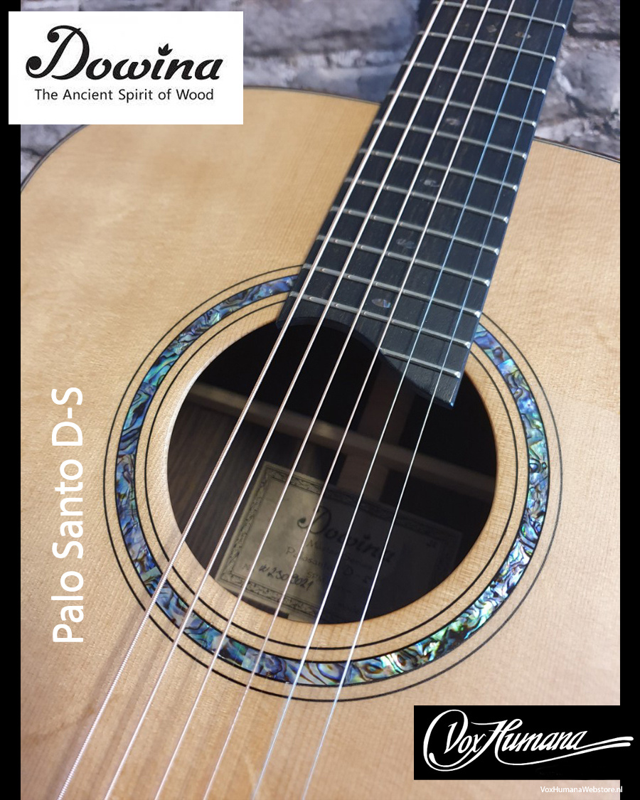 Dowina Master Series Palo Santo D-S Akoestische Gitaar met koffer