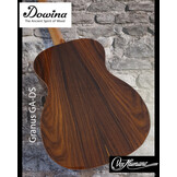 Dowina Granus GA-DS Pau Ferro Grand Auditorium Sunburst