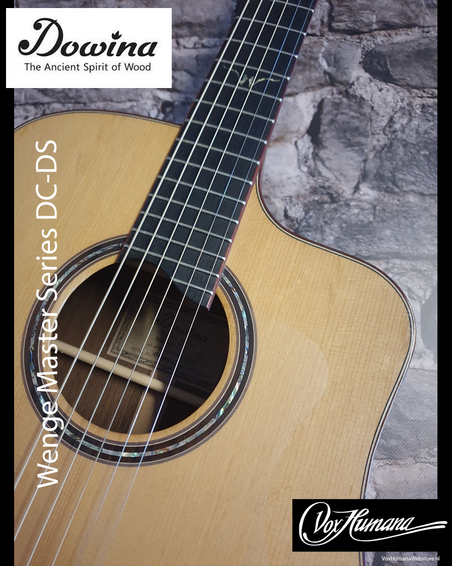 Dowina Master Series Wenge DC-DS Acoustic Guitar