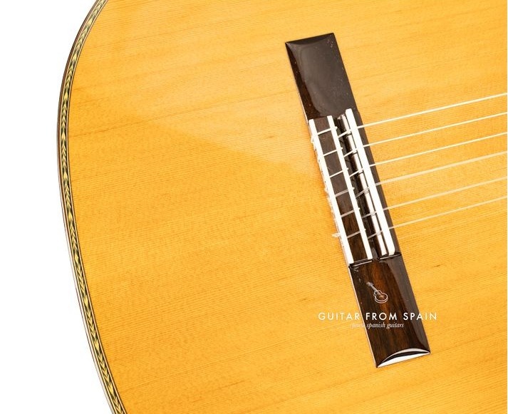 Antonio de Toledo  AT15CE Classic Electric