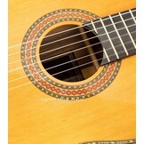 Antonio de Toledo  AT15CE Classic Electric