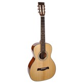 Richwood Master Series P40 Parlor Guitar