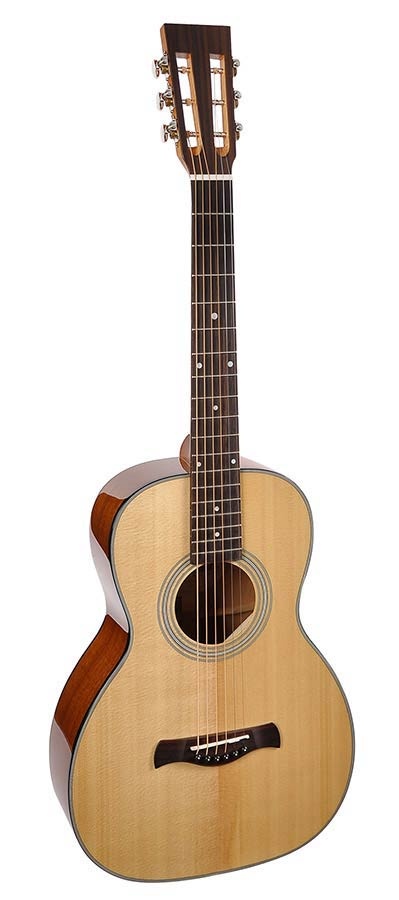 Richwood Master Series P40 Parlor Guitar