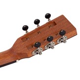 Richwood Master Series P40 Parlor Guitar