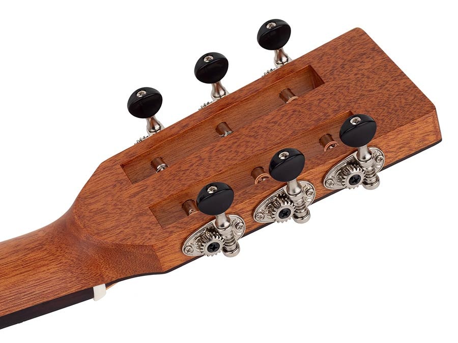 Richwood Master Series P40 Parlor Guitar