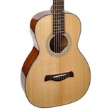 Richwood Master Series P40 Parlor Guitar
