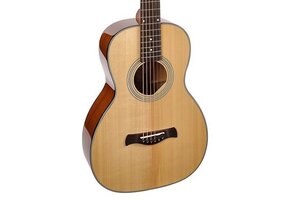 Richwood Master Series P40 Parlor Guitar