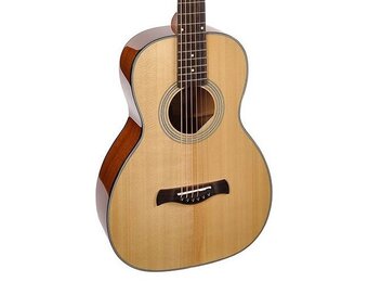 Richwood Master Series P40 Parlor Guitar
