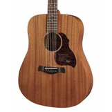 Richwood Master Series D50 Mahogany
