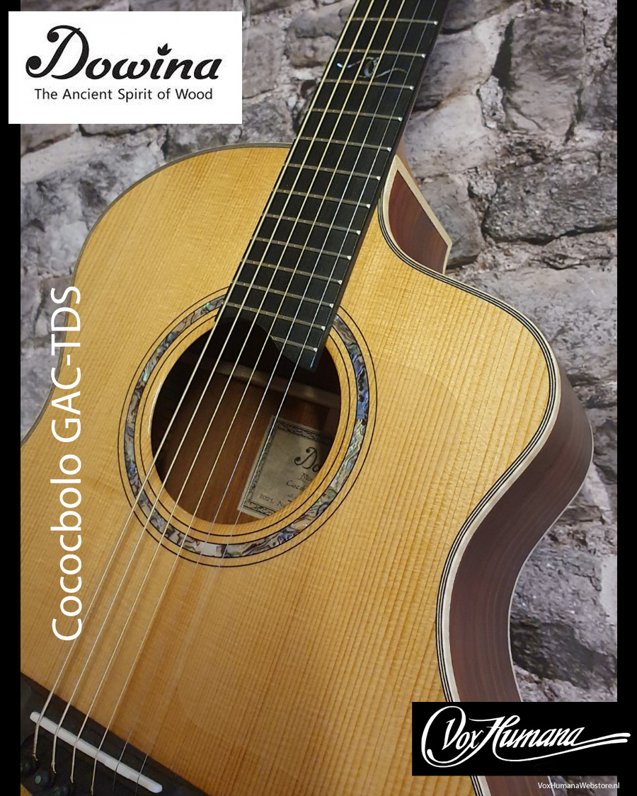 Dowina Cocobolo GAC-TDS Akoestische Gitaar met koffer
