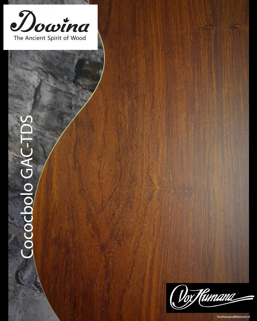 Dowina Cocobolo GAC-TDS Akoestische Gitaar met koffer