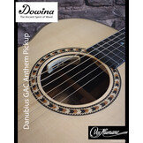 Dowina Danubius GAC-DS Semi-Akoestische Gitaar met LR Baggs Anthem Pickup