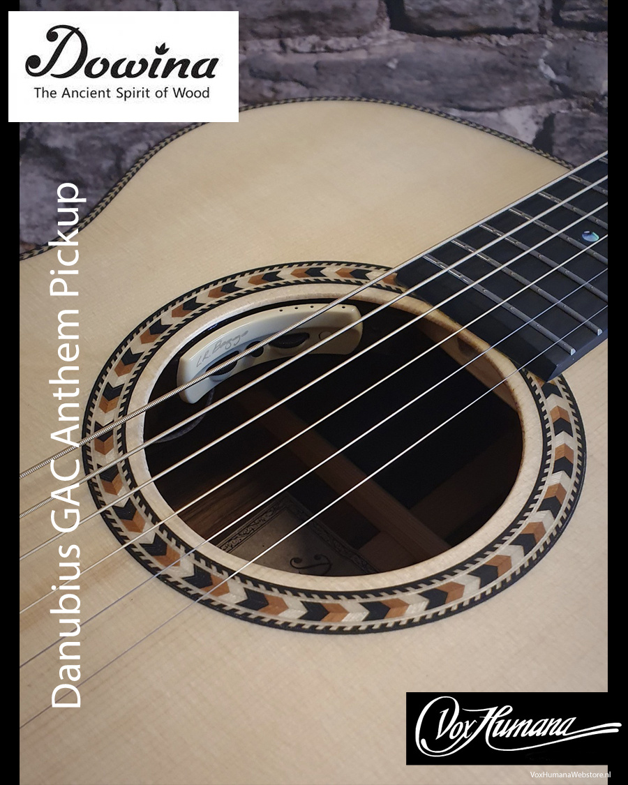 Dowina Danubius GAC-DS Semi-Acoustic Guitar with LR Baggs Anthem Pickup