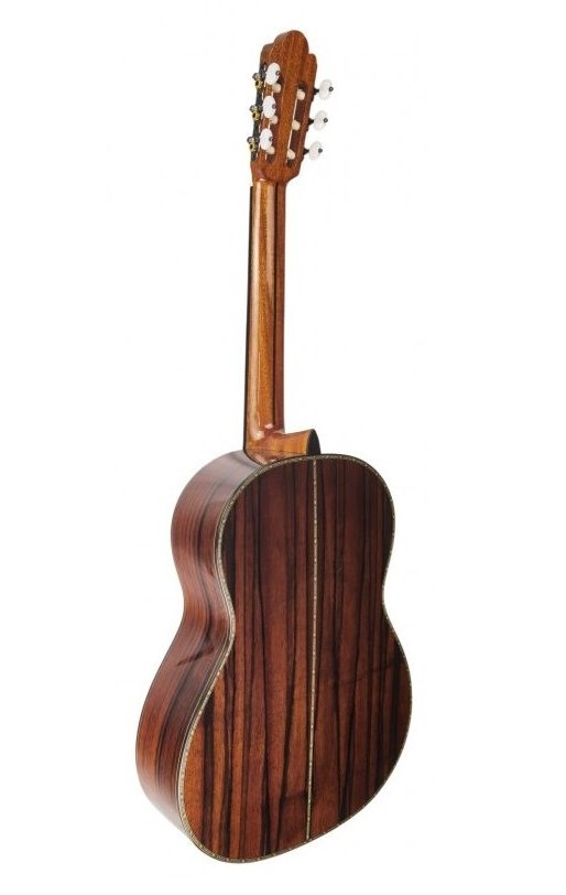 Antonio de Toledo  Patagonia Classical Guitar