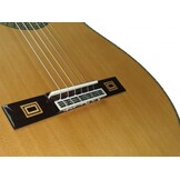 Antonio de Toledo  Patagonia Classical Guitar