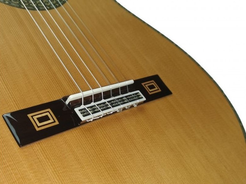Antonio de Toledo  Patagonia Classical Guitar