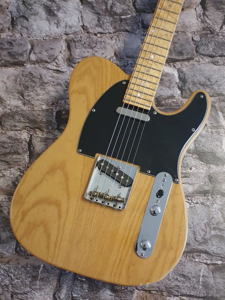 Vox Humana TE-Custom (2015) occasion