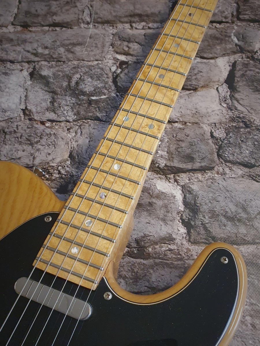 Vox Humana TE-Custom (2015) occasion