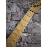 Vox Humana TE-Custom (2015) occasion